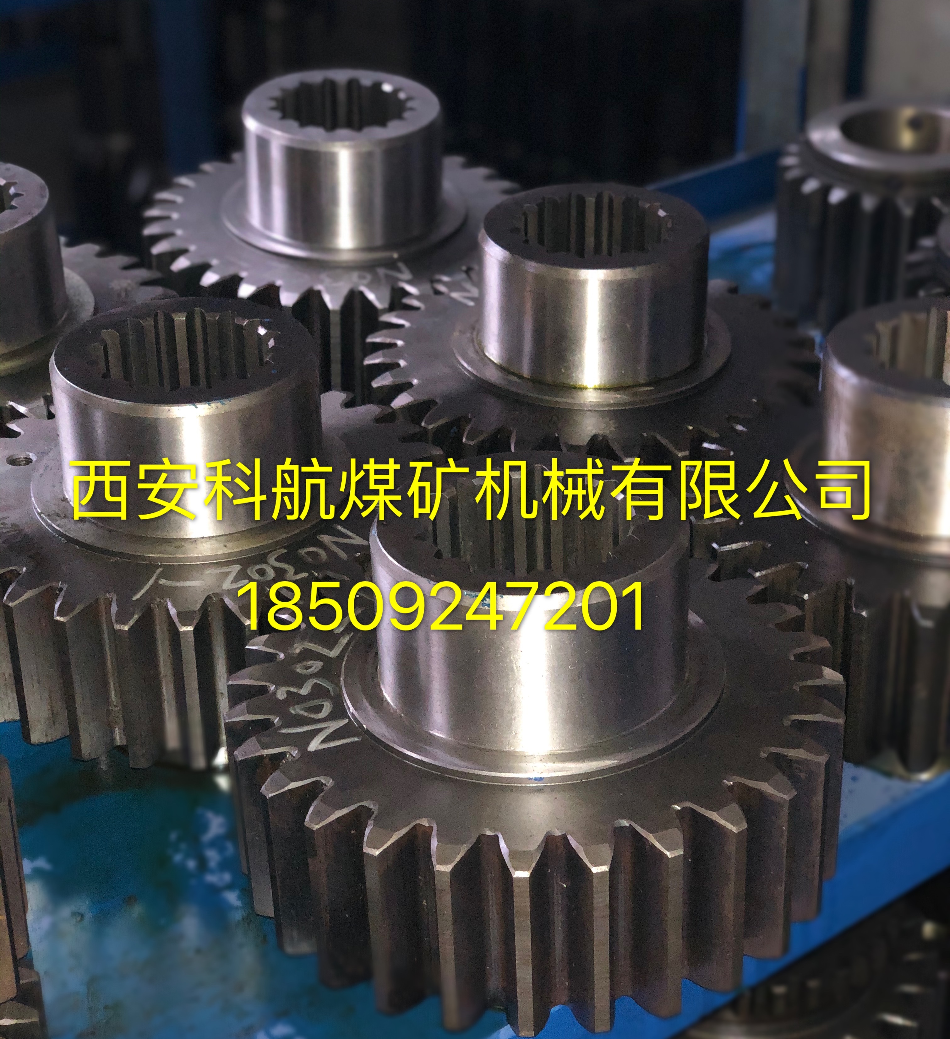 �c���鿴Ԕ��